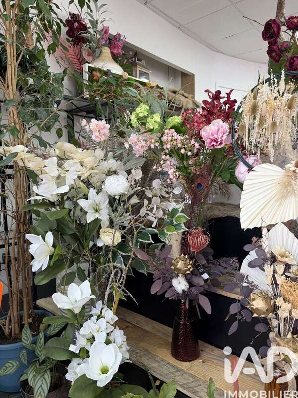 Photo 2 - Commerce à SALON-DE-PROVENCE