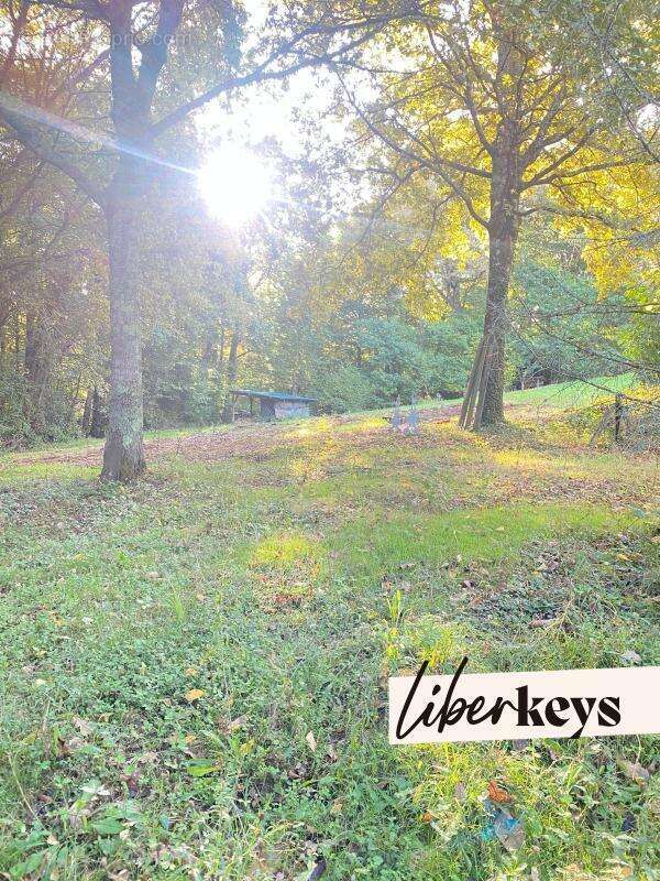 Terrain à SAINTE-COLOMBE