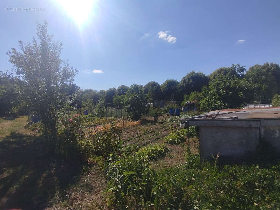 Propriété avec 3 maisons, 8 garages et terrain - photo 18