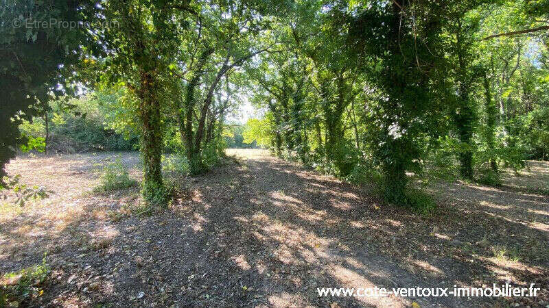 Terrain constructible viabilisé - 660 m² - photo 4