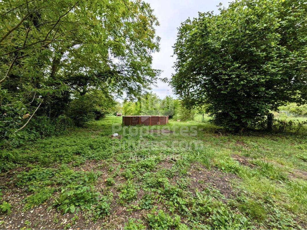 Maison Mesves Sur Loire 5 pièce(s) 114 m2 - photo 17