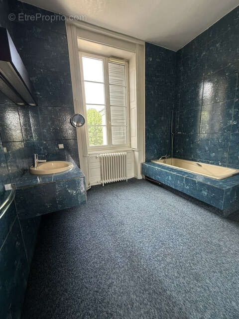 Château XVIIIᵉ   Projet de division en plusieurs logements   Parc 11 400 m2 - photo 6