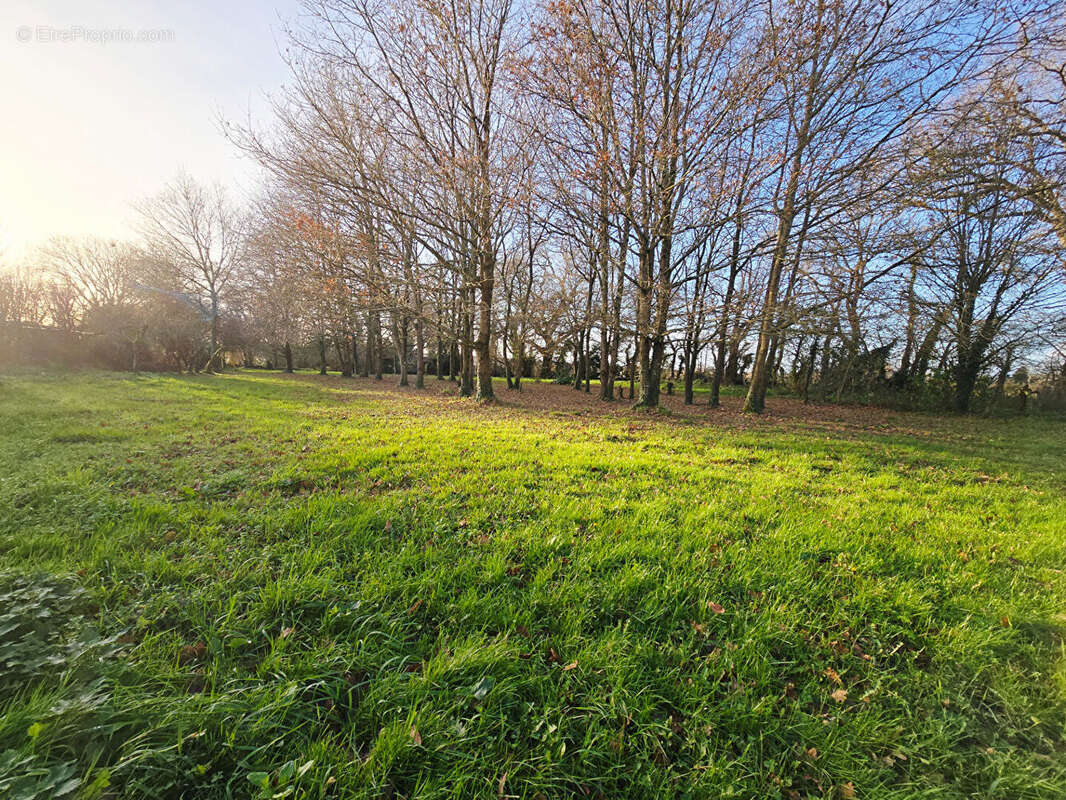 Terrain à SAINT-MOLF