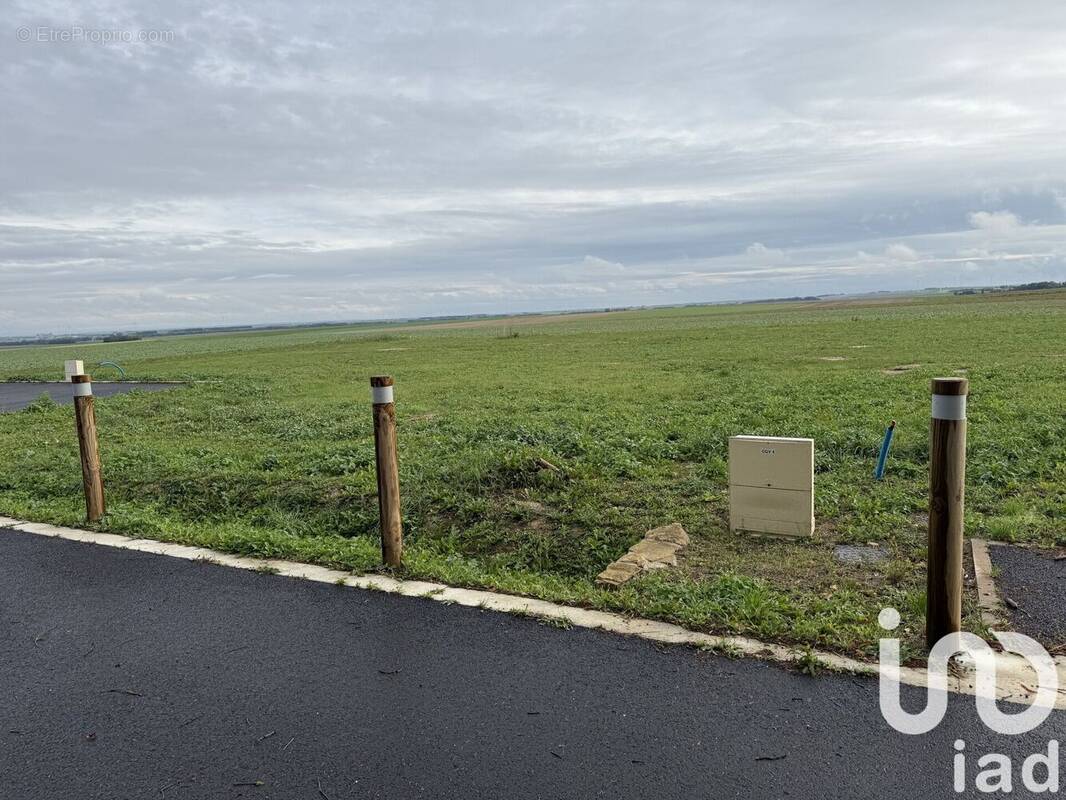 Photo 1 - Terrain à CAUROY