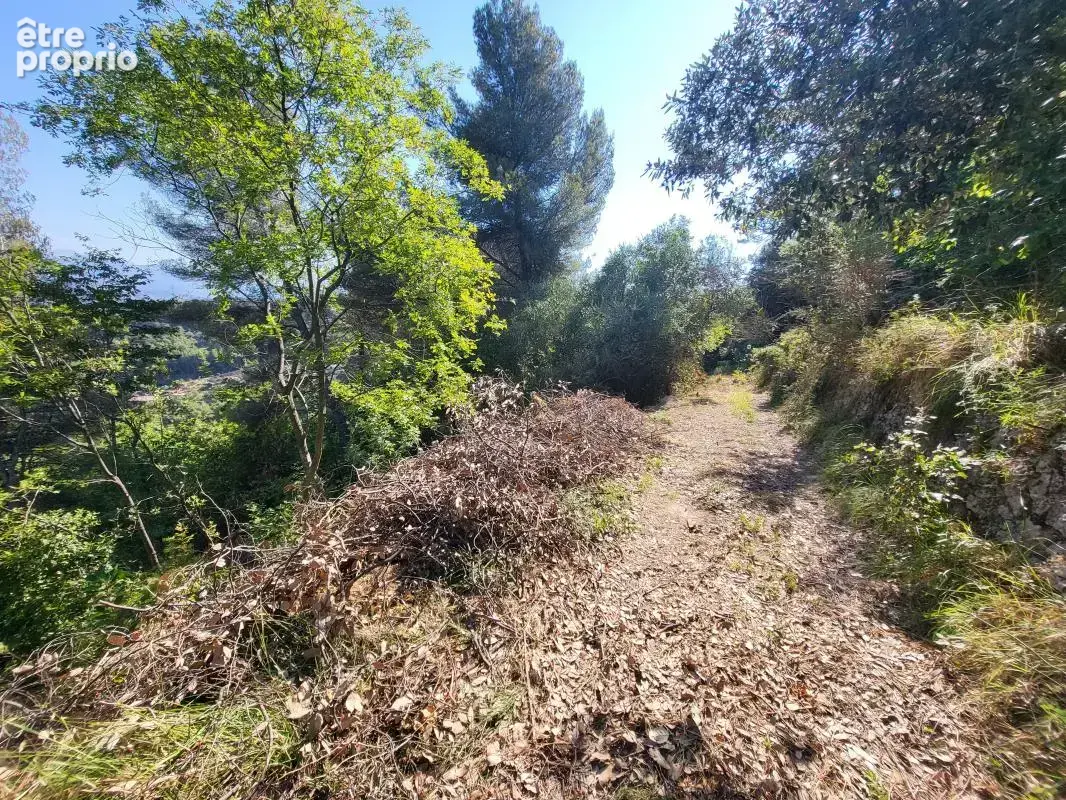 Terrain 16 415 m² à vendre à La Trinite (06340) - photo 7