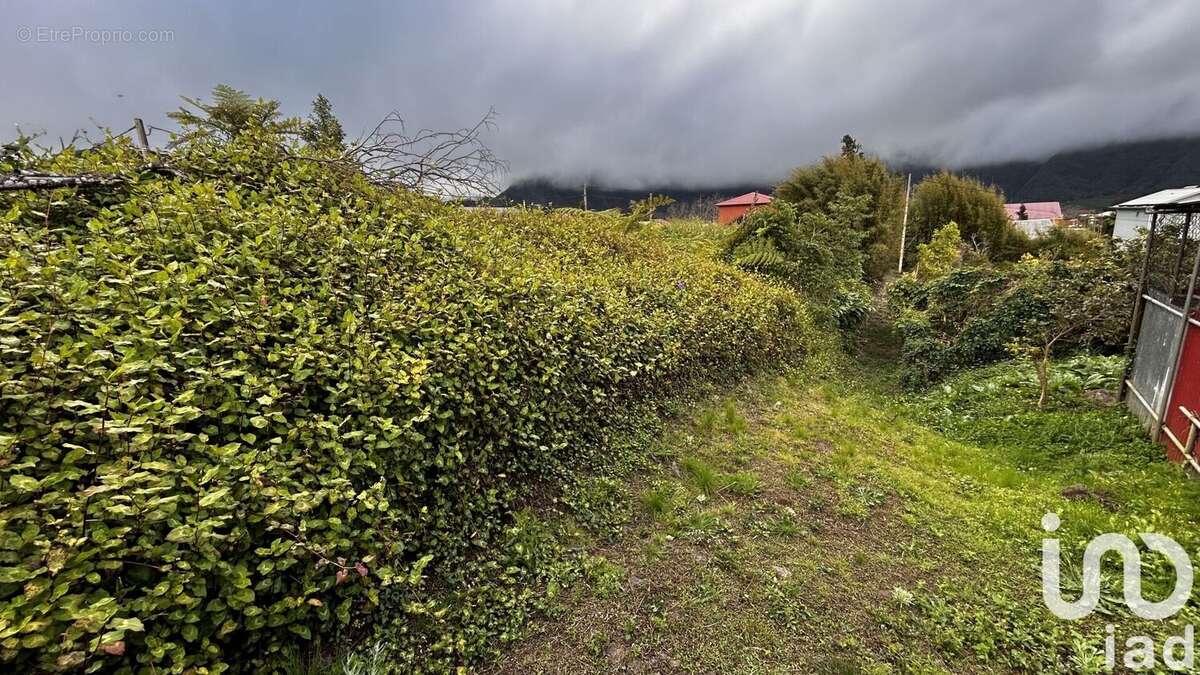 Photo 5 - Terrain à LA PLAINE-DES-PALMISTES