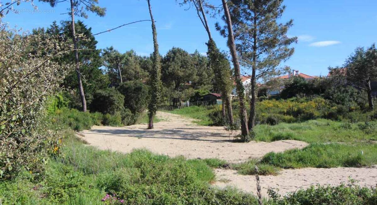 Terrain à EYSINES