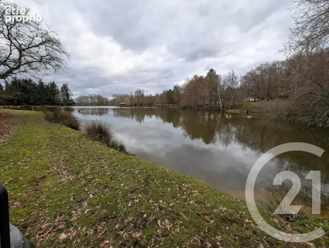 Propriété - photo 23
