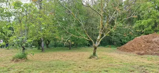 Terrain à BRAX