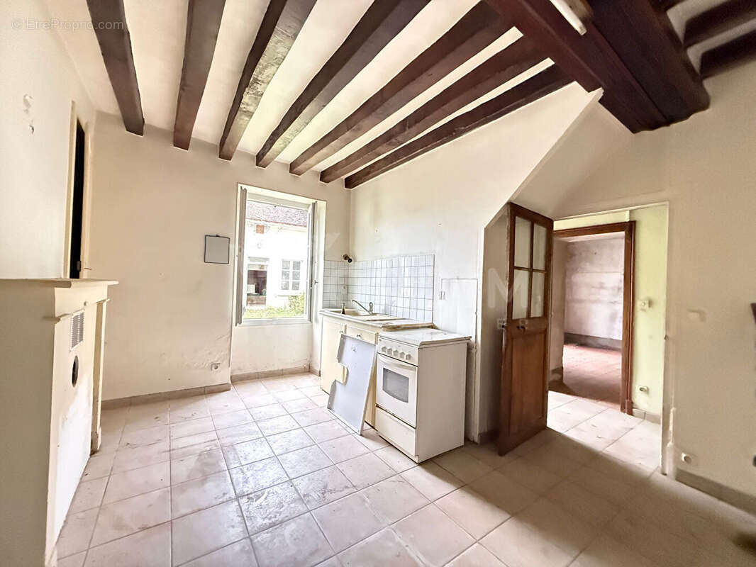Maison Bonny Sur Loire deux maisons terrain 1762 m² - photo 2
