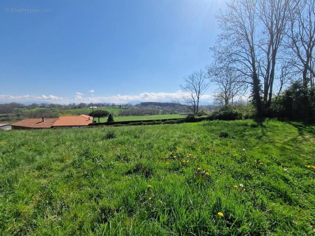 Photo 1 - Terrain à FRANQUEVIELLE