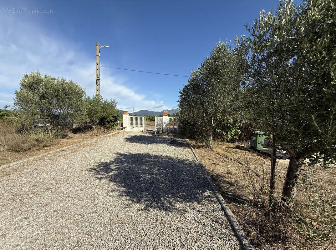 Maison à SAINT-ANDRE-DE-SANGONIS