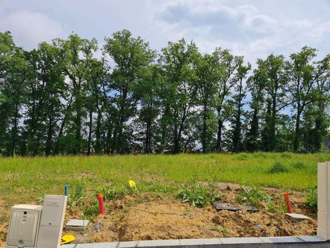 Terrain à LASGRAISSES