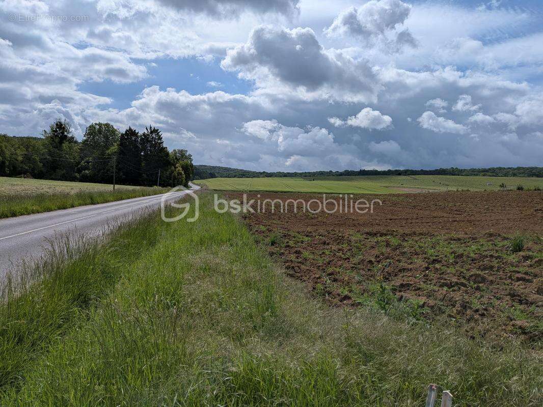Terrain Agricole à Grauves - photo 2