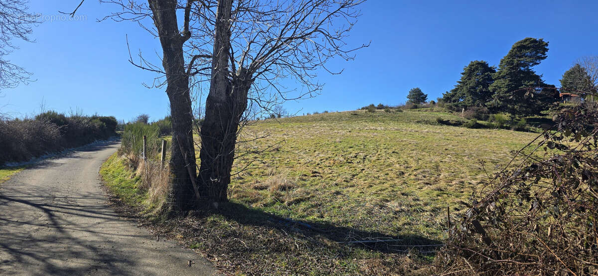 Terrain à SOLIGNAC-SOUS-ROCHE