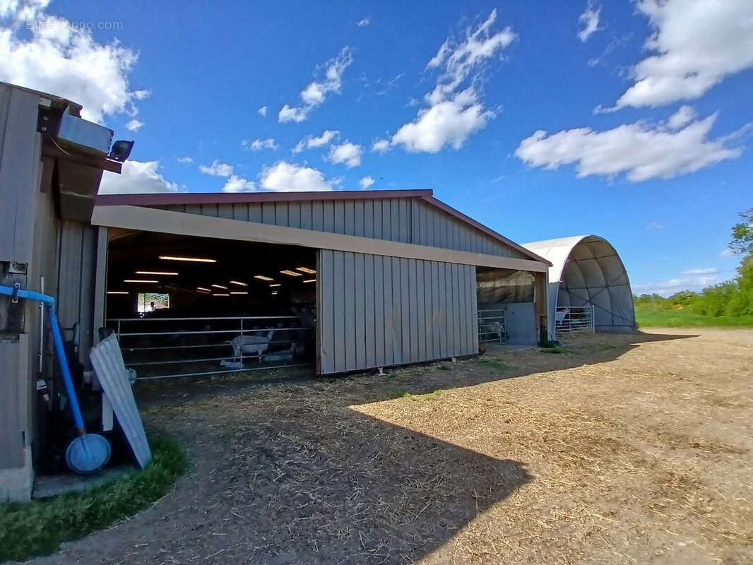 Exploitation caprine avec transformation fromagère, vente directe et maison d'habitation   19,33 ha   Indre - photo 9