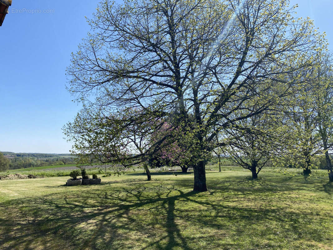 jardin et vue - Maison à AUBETERRE-SUR-DRONNE