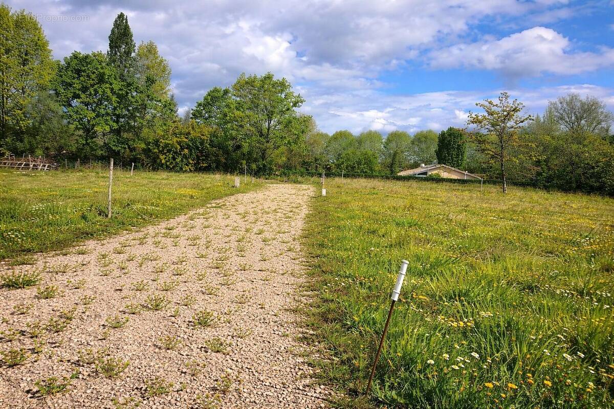 Terrain à HAUT-MAUCO