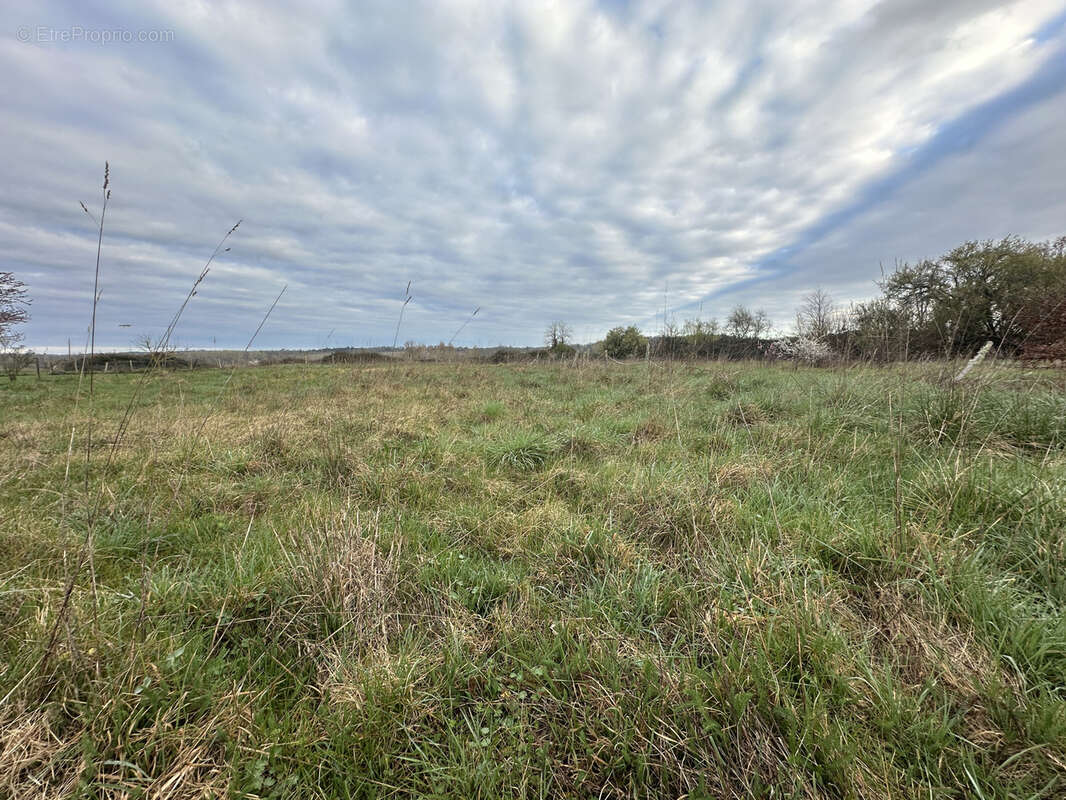 Terrain à CHENAUD
