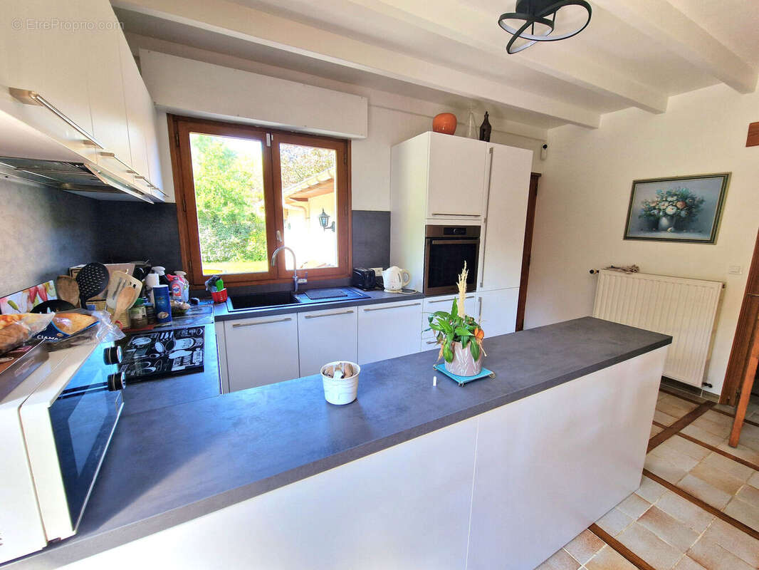 Maison 85 m² à Beaumerie-Saint-Martin  - photo 7