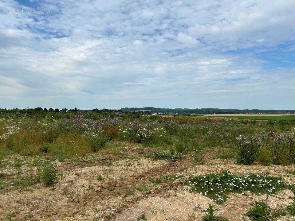 Terrain à BAILLEUL-SIR-BERTHOULT