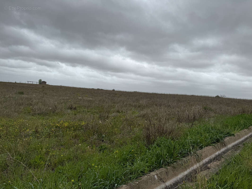 Terrain à SAINT-ANDRE-DE-SANGONIS