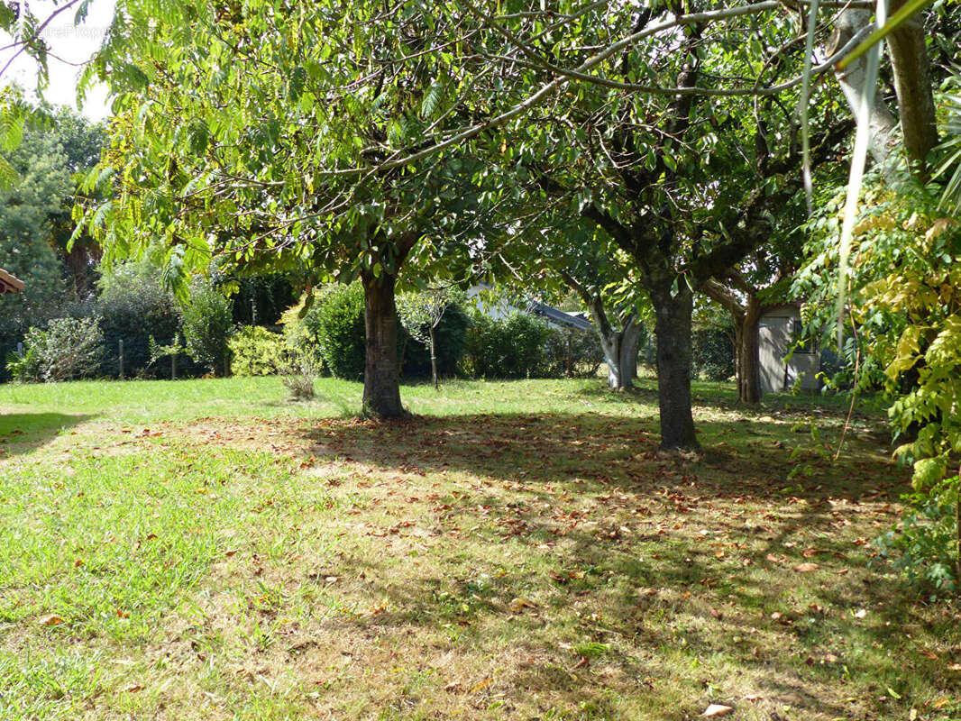 Villa rénovée de 6 pièces sur 1150 m² de terrain, HABAS centre bourg - photo 8