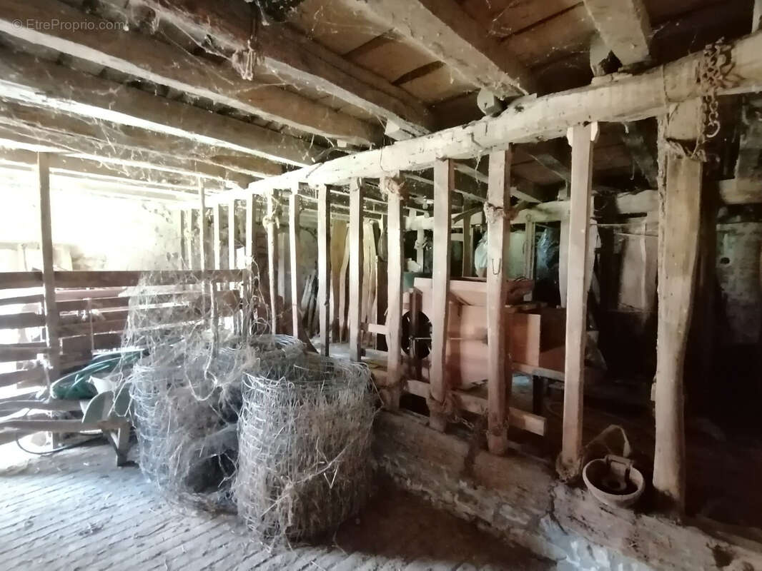 Ancien corps de ferme sur plus d'un hectare ! - photo 20