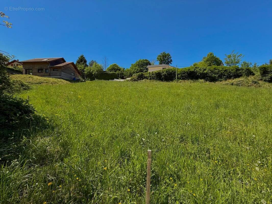 Terrain à LES MOLLETTES