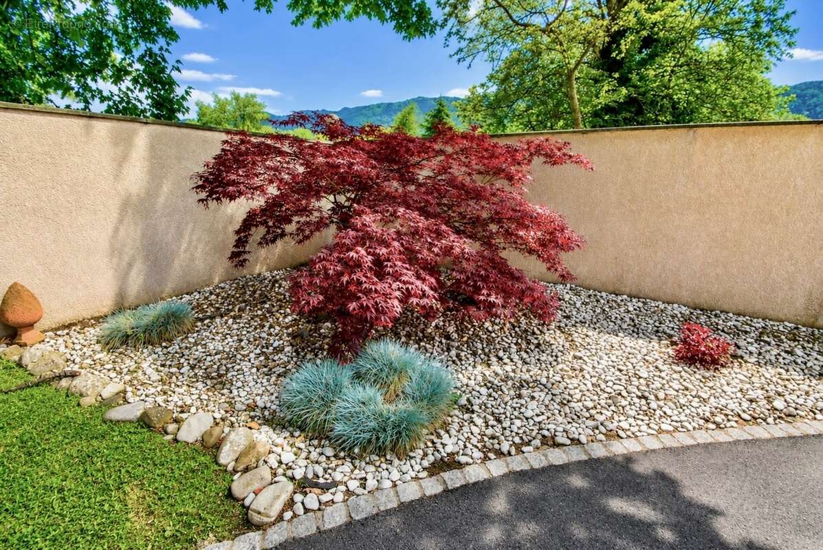 Maison à vendre 11 pièces LULLY (74) - photo 23