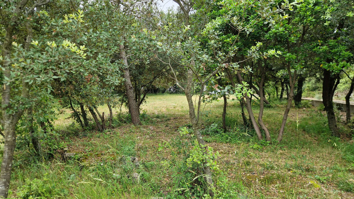 Terrain à LA BOISSIERE