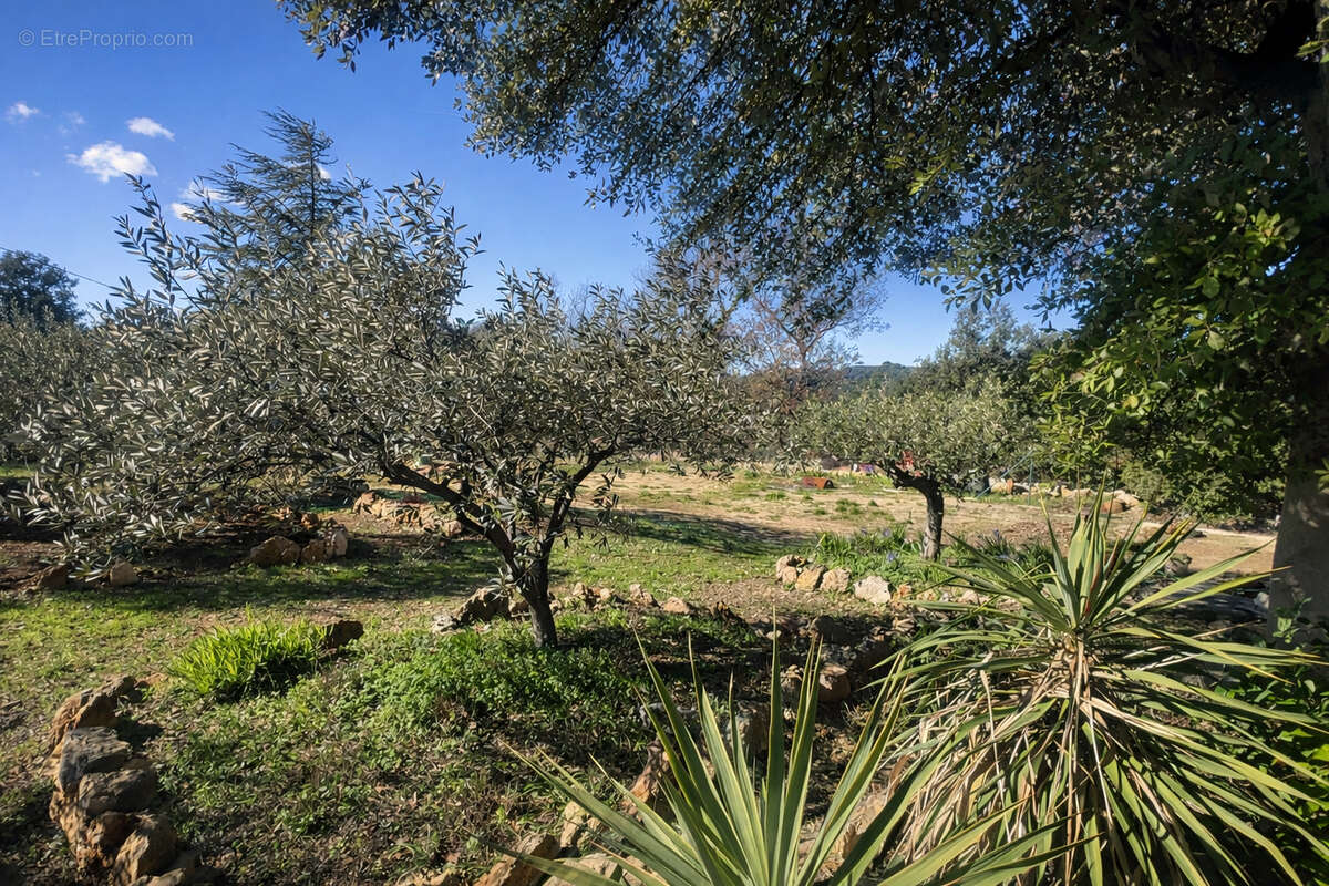 Maison à FLASSANS-SUR-ISSOLE