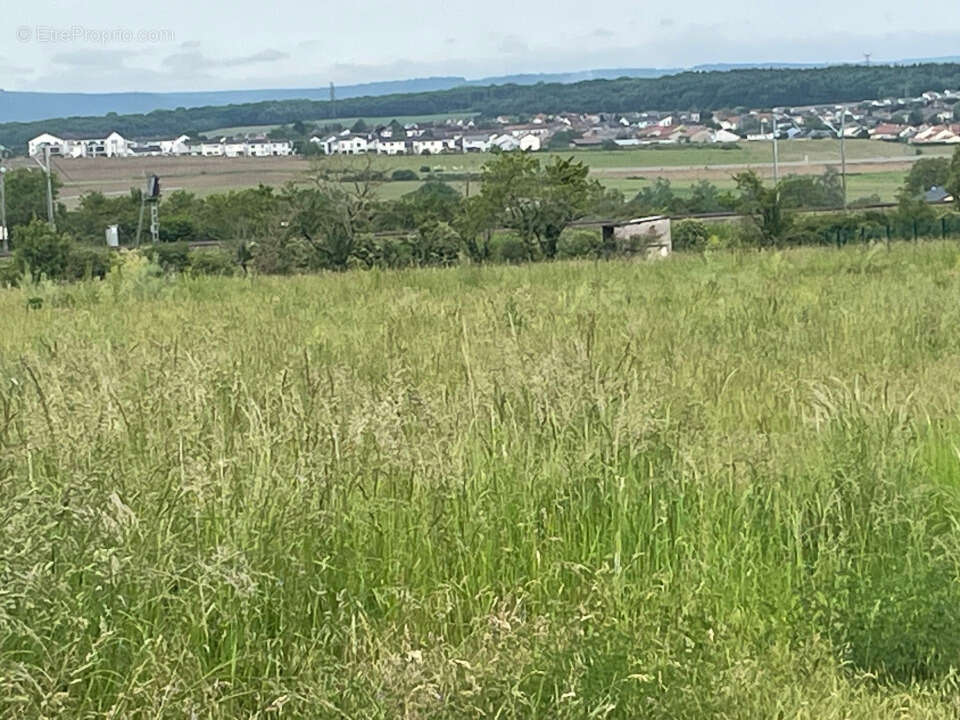 Terrain 408 m² à Distroff  - photo 2