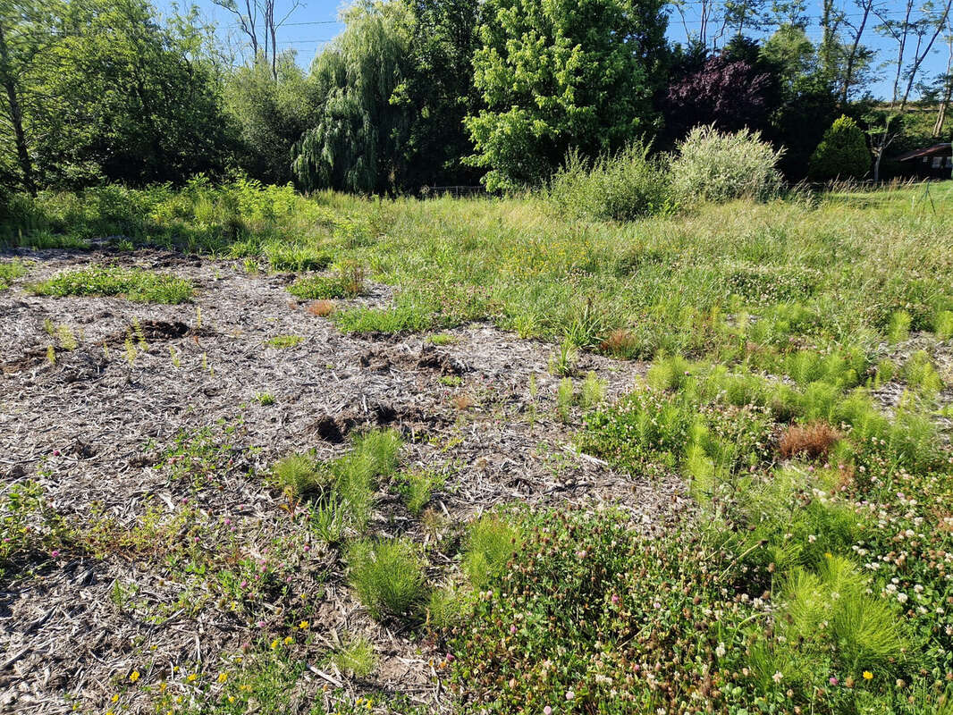 Terrain à BIDART