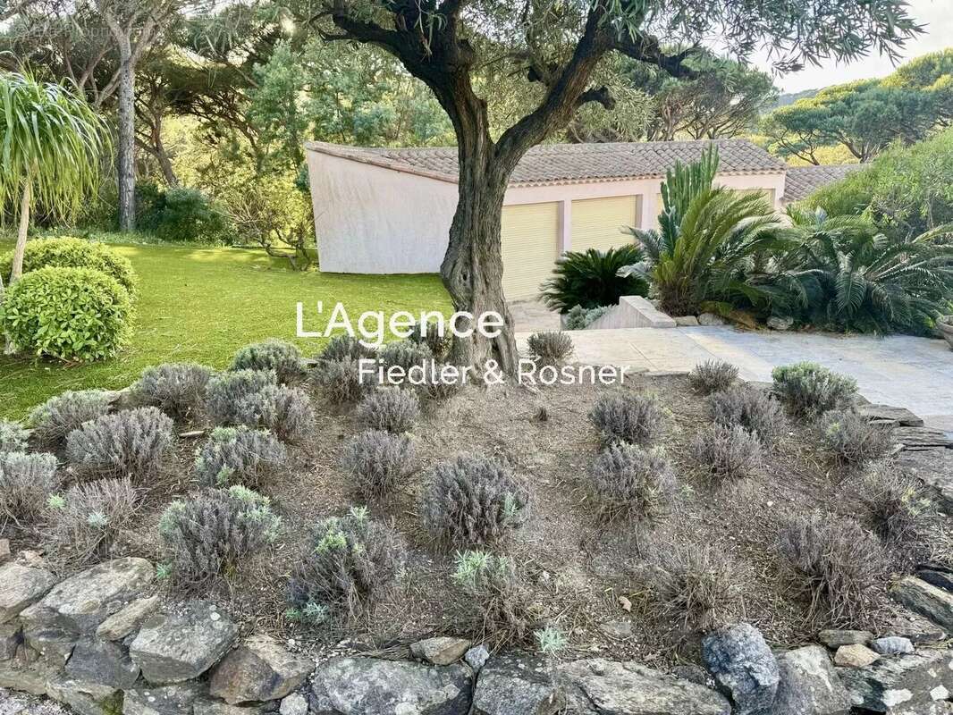 Maison à RAMATUELLE