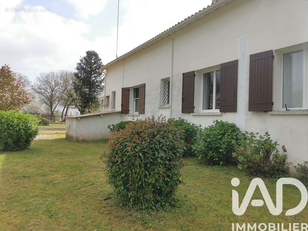 Photo 3 - Maison à SAINT-PEY-DE-CASTETS