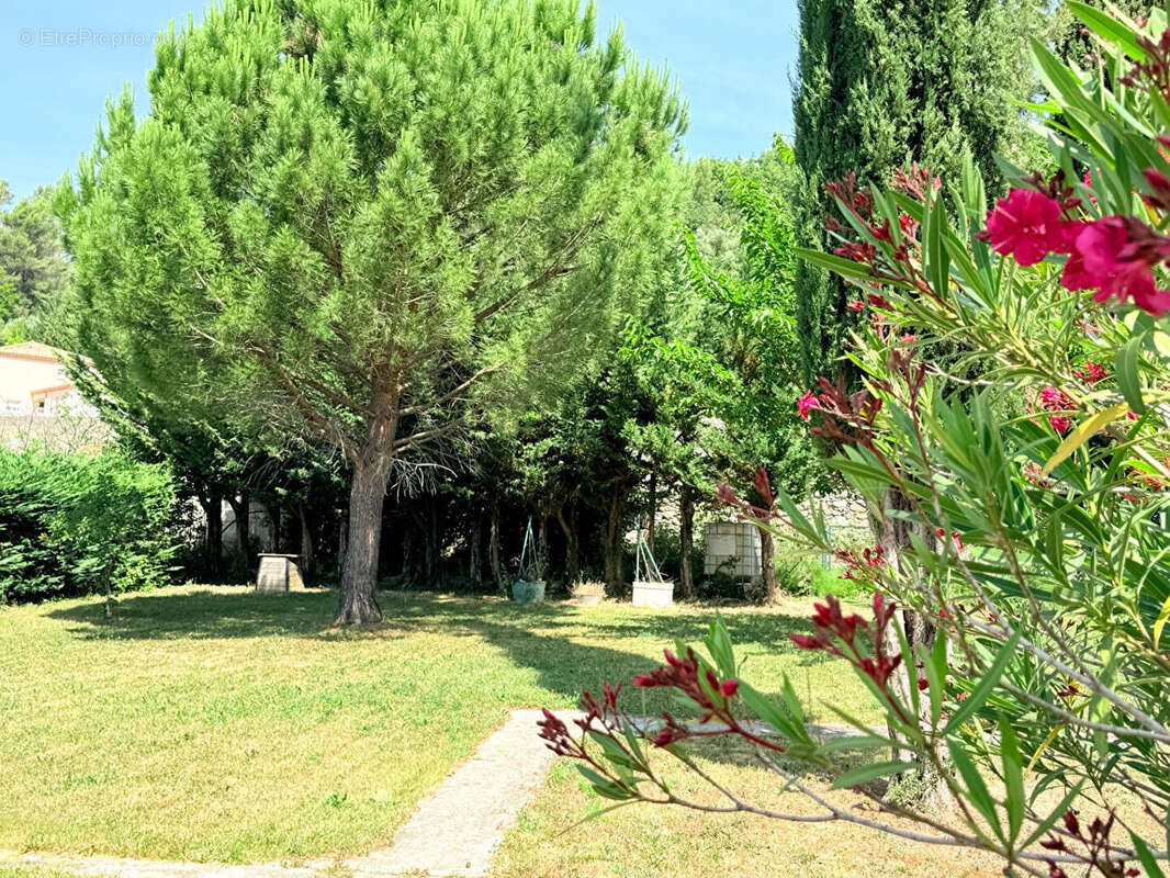 Maison à BUIS-LES-BARONNIES