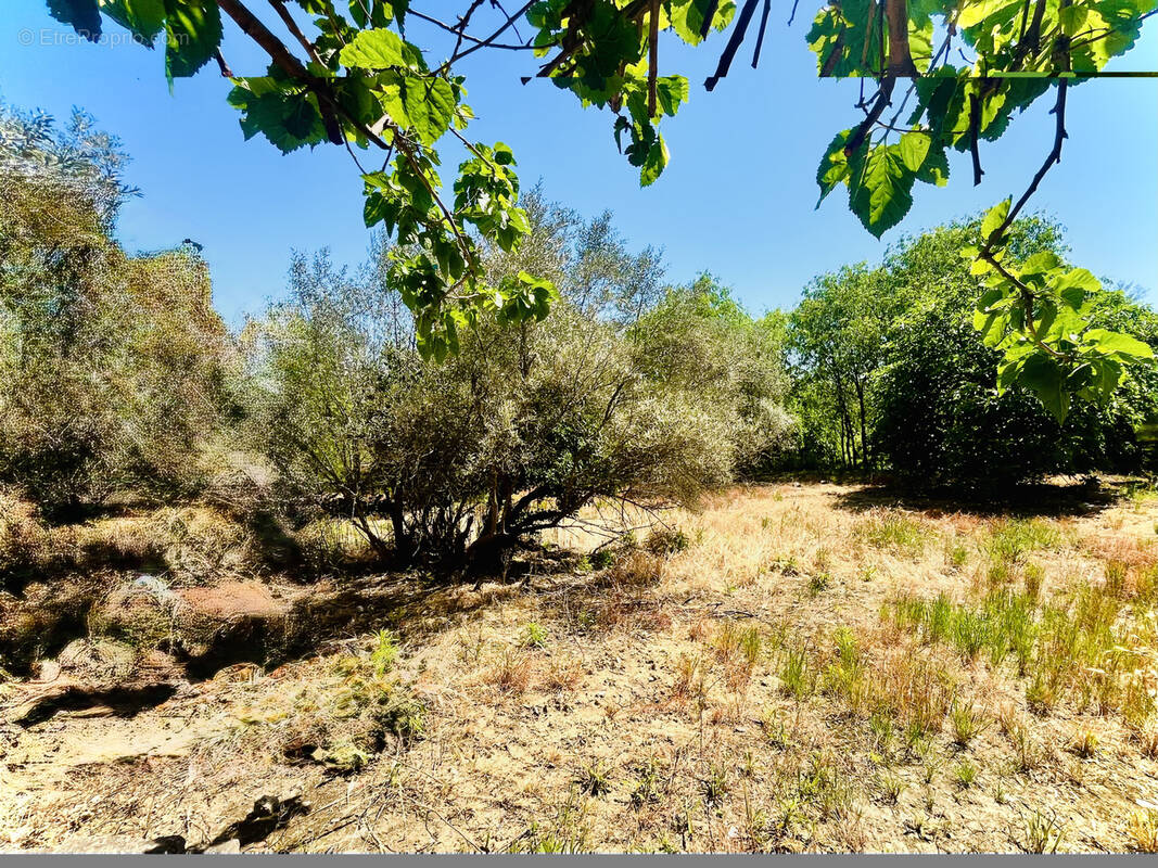 Terrain à VAILHAUQUES