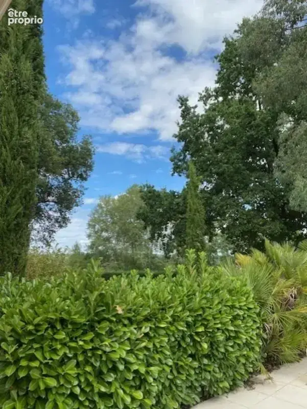 Proche de EXIDEUIL sur Vienne et Chabanais en Charente, maison 164 m², 5 chambres, double garage, terrain 2575 m² - photo 4