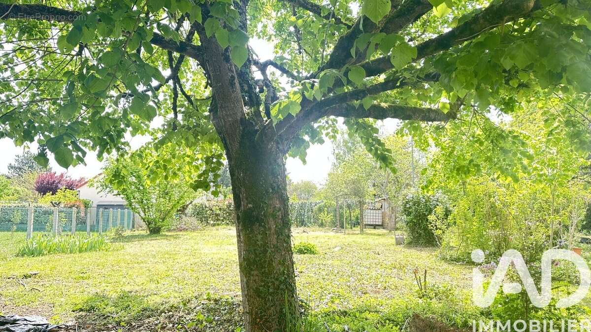 Photo 5 - Maison à FERRIERES-EN-GATINAIS