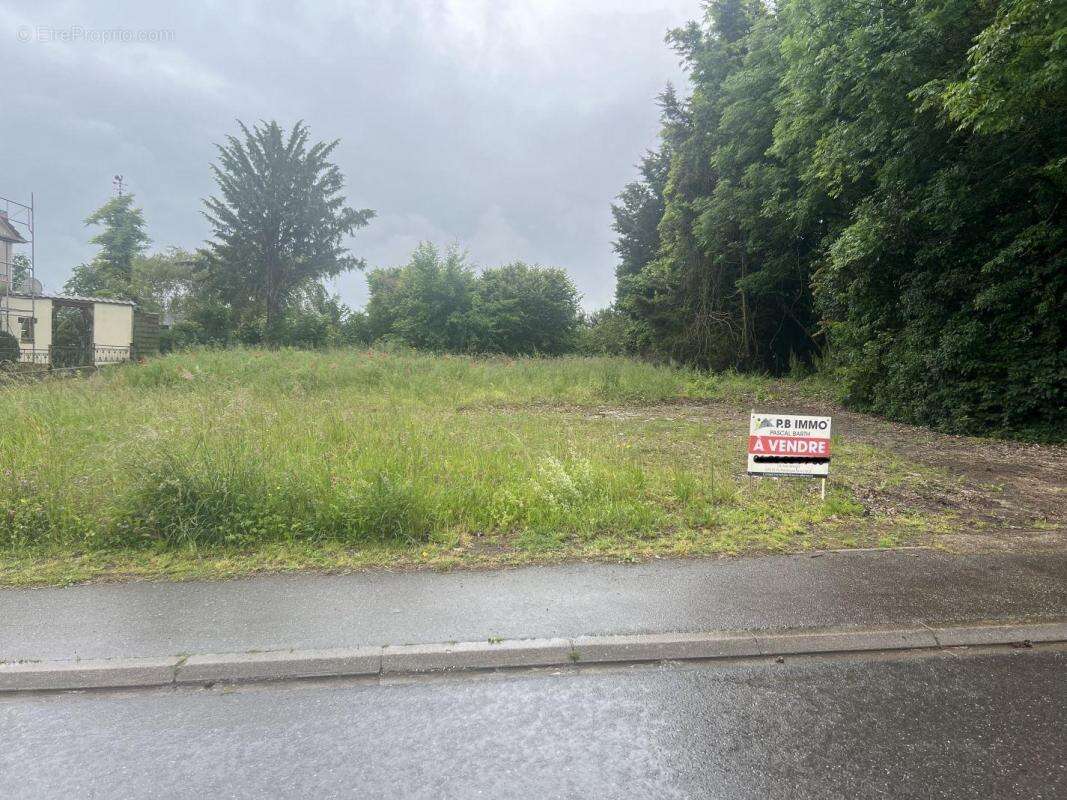 Terrain à PUTTELANGE-AUX-LACS