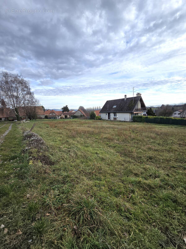 Terrain à ESCHENTZWILLER