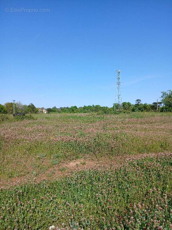 Terrain à SAINT-MARTIN-DE-RIBERAC