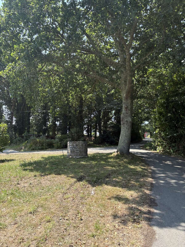 Ensemble immobilier d'exception   2 gîtes avec excellente rentabilité et une magnifique longère en pierre   Pr - photo 7