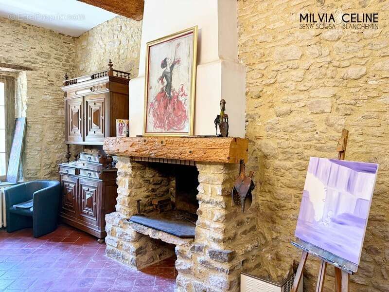 Propriete à vendre 32 pièces proche de CARCASSONNE (11) 2 habitations 522m2+ parc 2,82 hectares + dépendances - photo 8