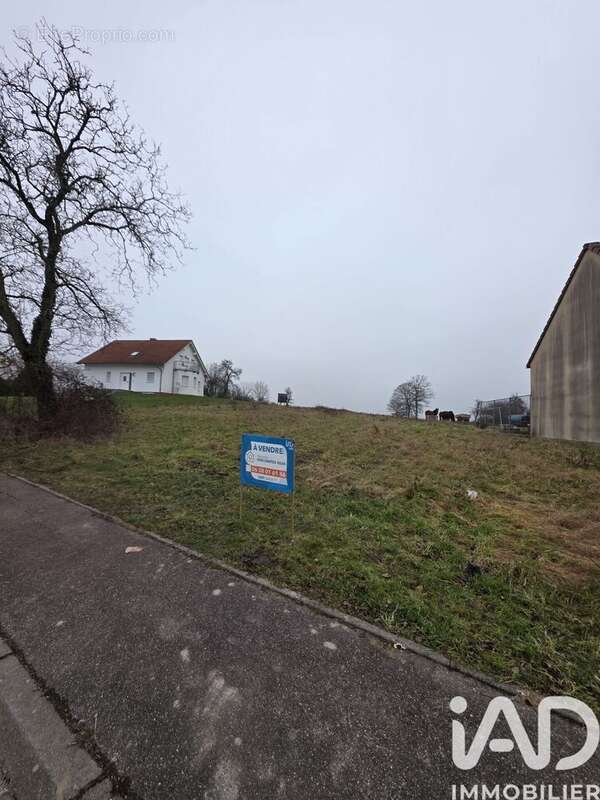 Photo 2 - Terrain à SAINT-FRANCOIS-LACROIX