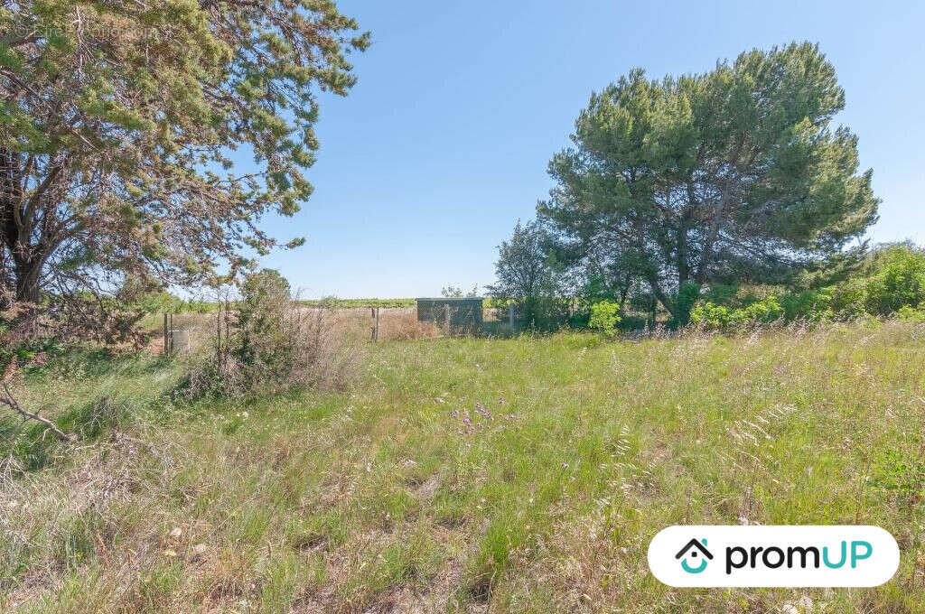 Terrain à MARSEILLAN
