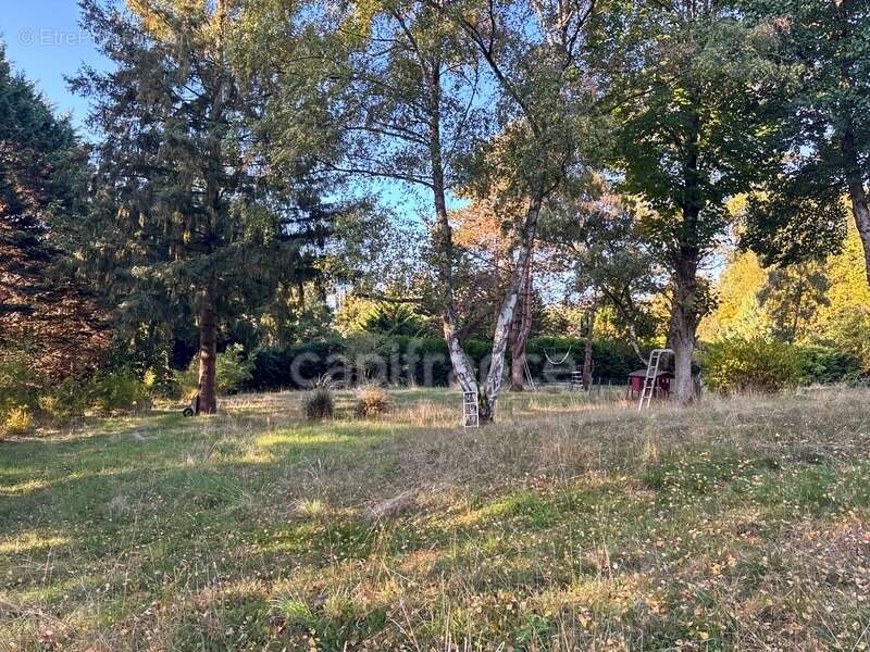 Maison à SILLE-LE-PHILIPPE