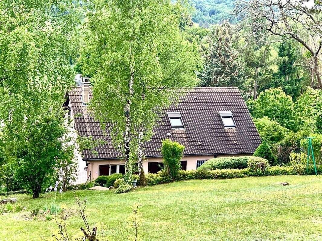 Photo 2 - Maison à VILLENEUVE-SUR-YONNE