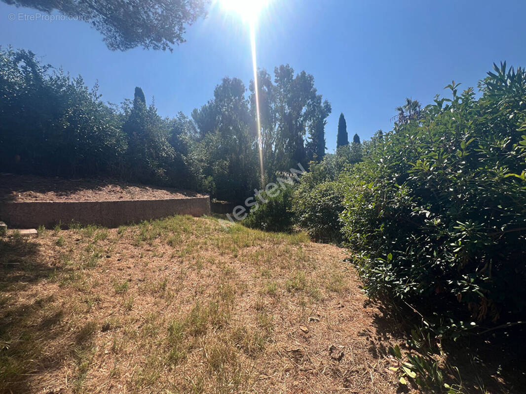 Terrain à LE PRADET